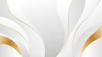Abstract White and Gray Luxury Wave Background with Elegant Golden Lines vector