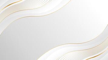Abstract white and gray luxury wave background with gold lines vector