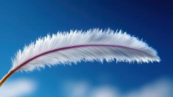 A delicate white feather floats gently against a bright blue sky. The sunlight illuminates its soft fibers, showcasing a subtle pink vein running through it, creating an ethereal look photo