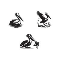 Four pelicans in different poses and sizes vector