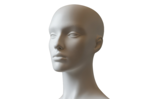 Mannequin head displaying neutral expression indoors png