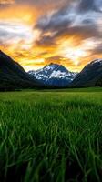 A beautiful sunset over a green field with mountains in the background photo