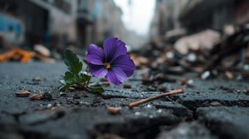 A purple flower sits on the ground in a city street photo