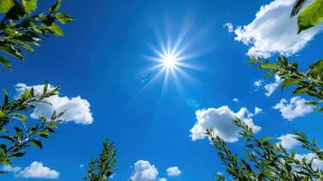 The sun shines brightly through the blue sky photo