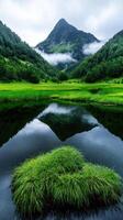 A green field with grass and water in front of a mountain photo