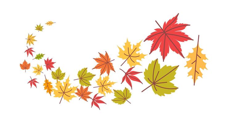 Autumn falling leaves. Flying swirl of orange tree foliage. Thanksgiving background with yellow, red and green maple and oak leaves. Fall sale season banner template