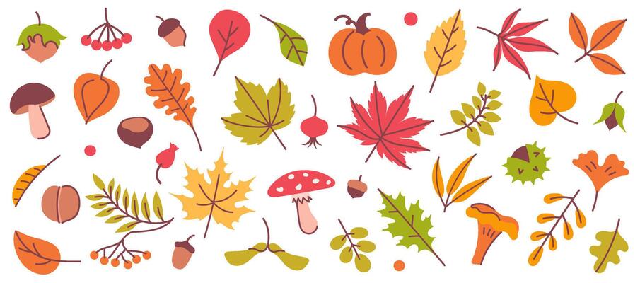 Autumn elements. Leaves, mushroom and acorn, chestnut and pumpkin, berry. Yellow, orange and red, green tree foliage fall season, harvest hand drawn elements. set