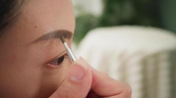 Closeup of Woman Filling in Eyebrows with Precision Brush video