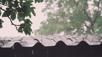 Raindrops Falling on Old Tiled Roof with Tree Branch in Calm Natural video