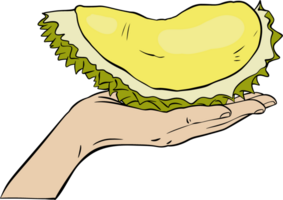 half Durian handle png