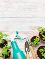 Gardening tools and seedlings on rustic white table, preparing for spring planting photo