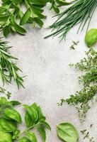 Fresh herbs bordering a rustic gray background photo