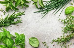 Fresh herbs bordering a rustic gray background for culinary designs photo