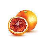 Grapefruit with slices vector