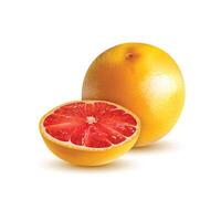 Grapefruit isolated white background vector