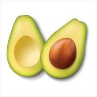 Avocado fruit with fruit pieces containing seeds isolated on white background vector