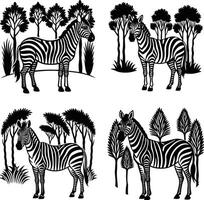 Black and white zebra set with trees silhouette graphic illustrations vector