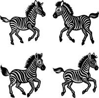 Decorative black and white zebras cartoon style pattern on white background vector