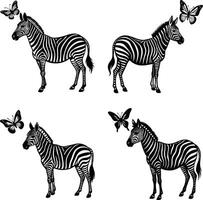 Set of zebra illustrations with butterflies in black and white format vector