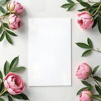 Pink peonies on white background with copy space photo