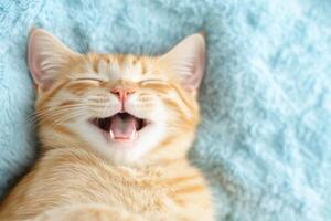 Joyful Feline, Orange tabby kitten, eyes closed, mouth open in a happy expression, light blue blanket photo