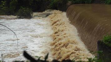 The nature of the waterfall in the forest that flows strongly during the rainy season. Strong current in the river, waters turned muddy after heavy. video