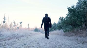 A person walking down a path in the middle of a snowy field video