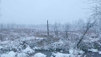 A snowy field with trees and grass video