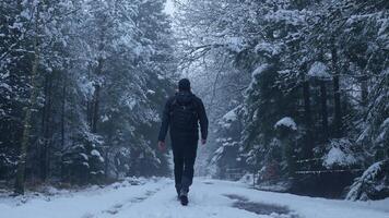 A man walking in the snow on a path video