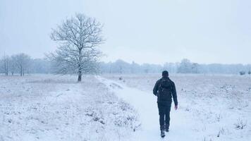 A man walking in a snowy field video