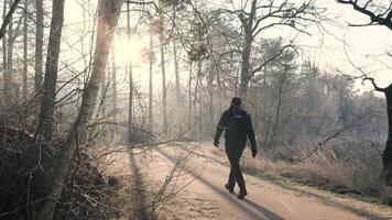 A man walking down a path in the woods video