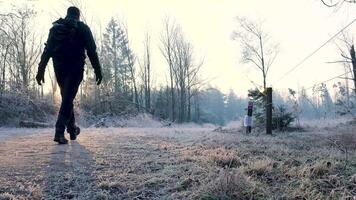 A man walking on a path in the woods video