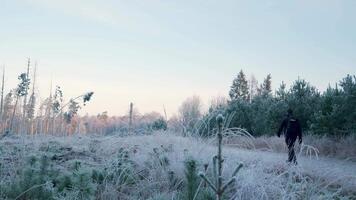 A person walking through a field of frost video