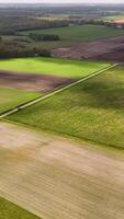 Aerial view of fields and fields in the countryside video
