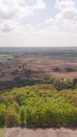 An aerial view of a field with trees and water video