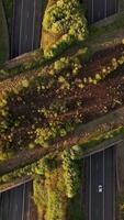 Aerial view of a road with trees and grass video
