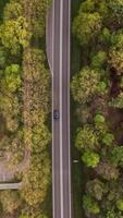 Aerial view of a car driving on a road through a forest video
