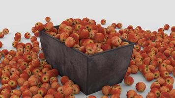fresh apples falls on container with white background video