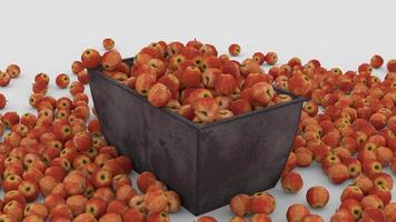 fresh apples on container video