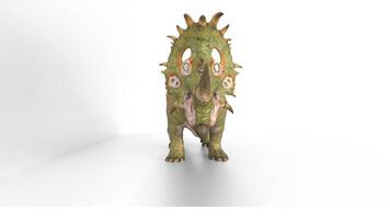 sinoceratops dinosaur on white background animation video