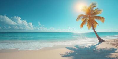 Tropical beach with a leaning palm tree under a clear blue sky and bright sun photo