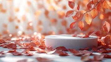 Autumn leaves surround a simple white pedestal in a soft, warm light setting photo