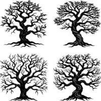oak tree branches Set vector