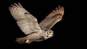 Majestic owl in mid-flight with outstretched wings against a dark background showcasing intricate feather details and grace photo