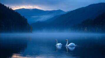 Serene Landscape at Dusk Featuring Elegant Swans on a Misty Lake Surrounded by Lush Forest and Majestic Mountains photo