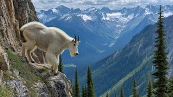 Majestic Mountain Goat Perched on a Rocky Cliff with Stunning Mountain Scenery and Lush Greenery in the Background photo