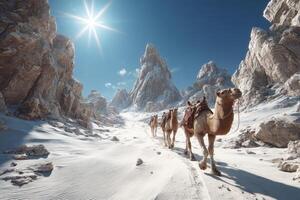 Camels Walking Through Snowy Desert Landscape with Dramatic Mountains Under Bright Sunlight in Clear Blue Sky photo