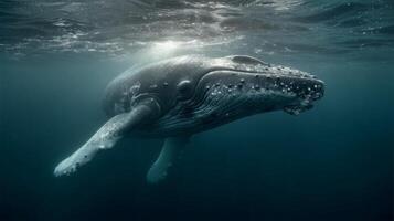 Majestic Underwater Encounter with a Graceful Whale Swimming in Crystal Clear Ocean Waters photo