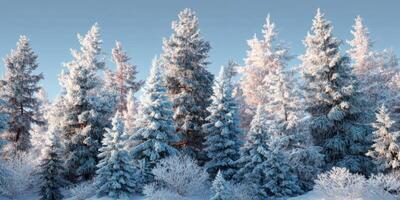 Winter Wonderland with Snow-Covered Pine Trees and Frosted Landscape under Bright Blue Sky in Serene Nature Setting photo