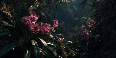 Vibrant Pink Orchids in Lush Green Jungle with Soft Morning Light and Misty Background photo